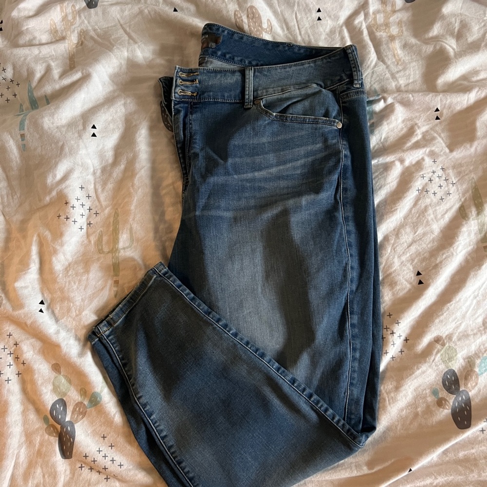 Torrid 26T Jeggings